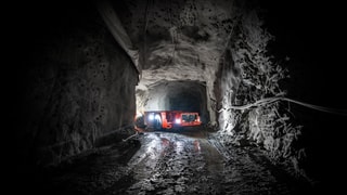 Toro™ LH209L low profile loader